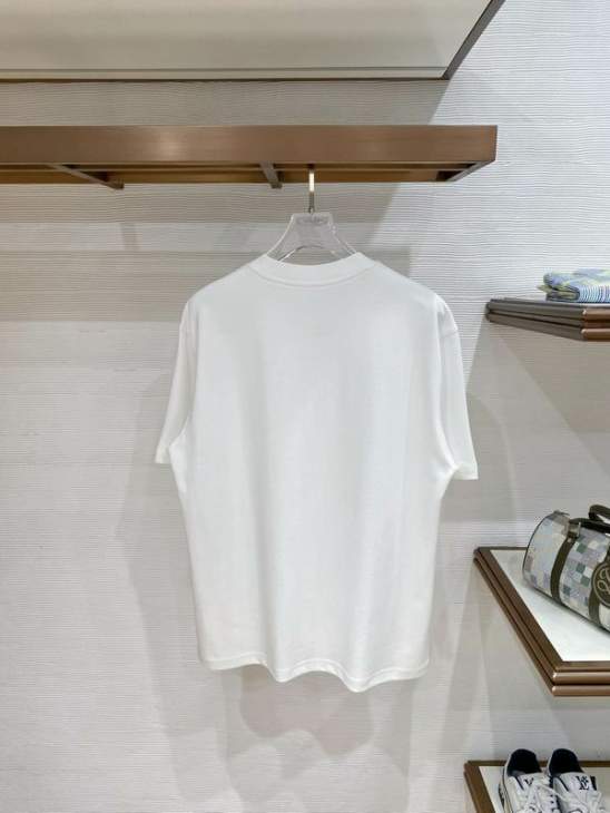 Loro Piana T Shirts Short _SKULoroPianaM-3XLxetr258726